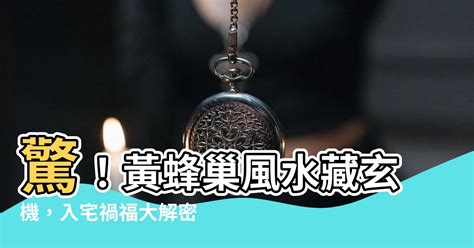 黃蜂築巢風水|【黃蜂巢風水】東南面窗户上長個黃蜂巢 